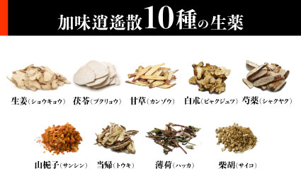 加味逍遙散 10種の生薬