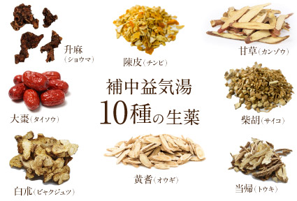 補中益気湯 10種の生薬